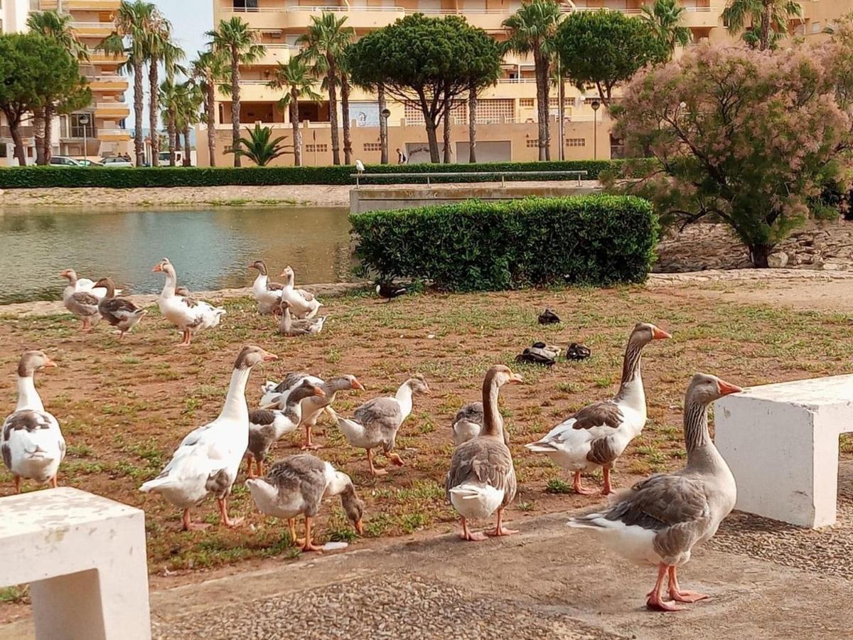 Apartamento En La Playa Tavernes de la Valldigna Exterior foto
